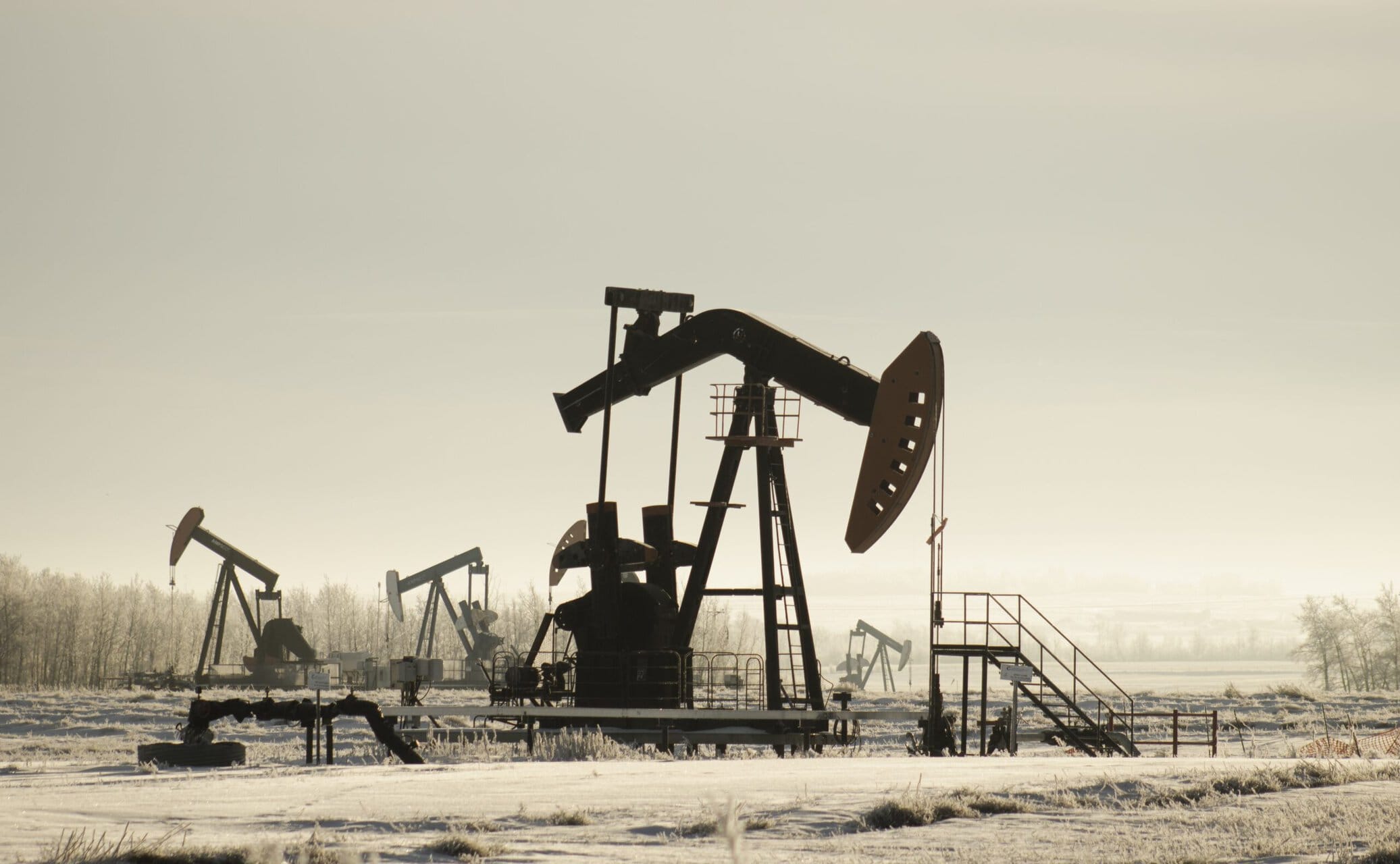 Oil Prices Drop after OPEC+ boosts August oil production